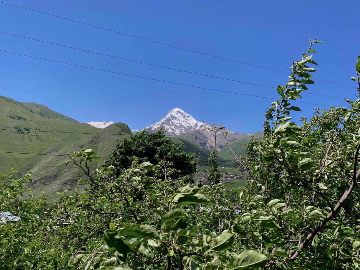 Geo Inn Kazbegi Eksteriør bilde