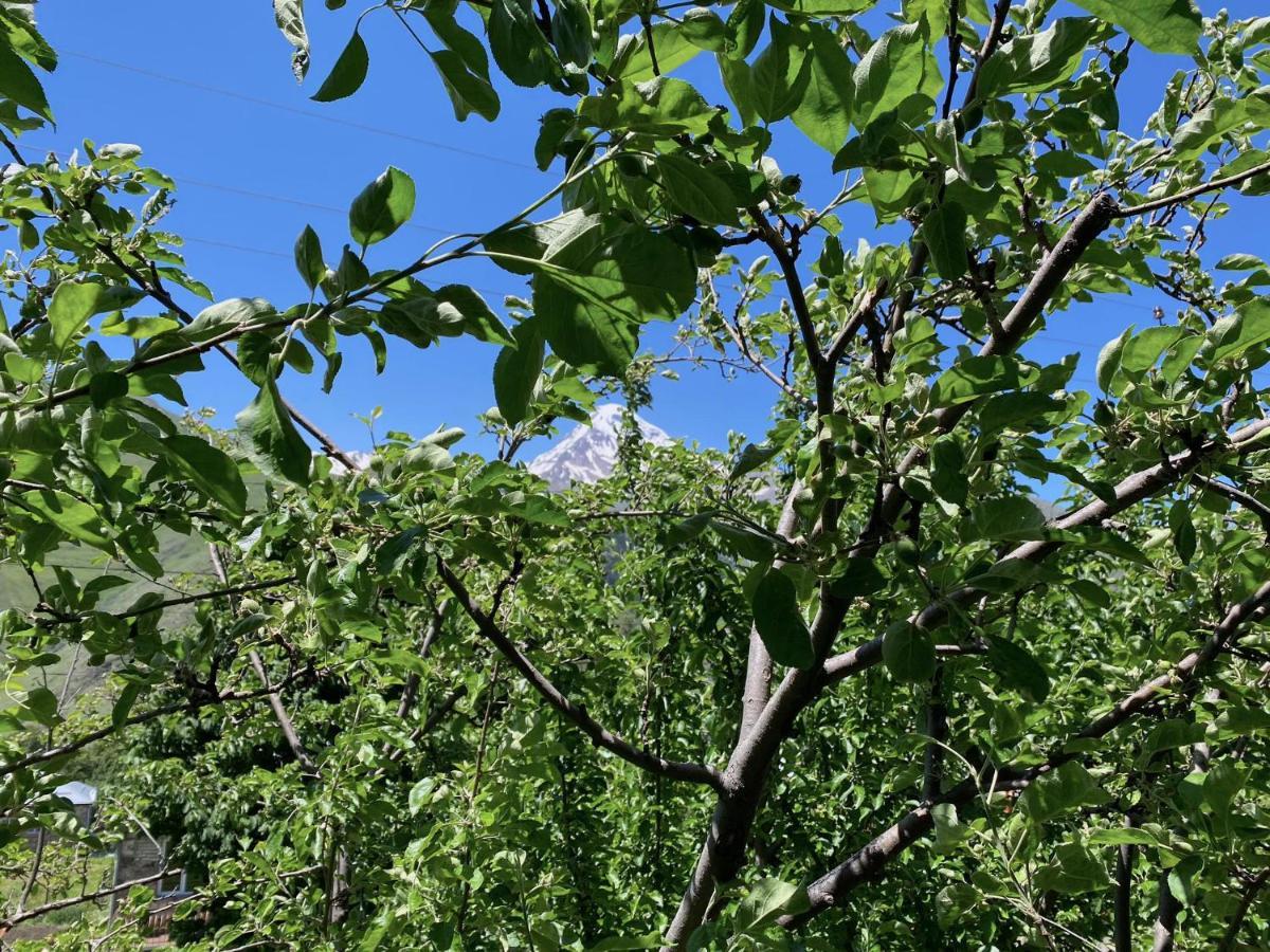 Geo Inn Kazbegi Eksteriør bilde